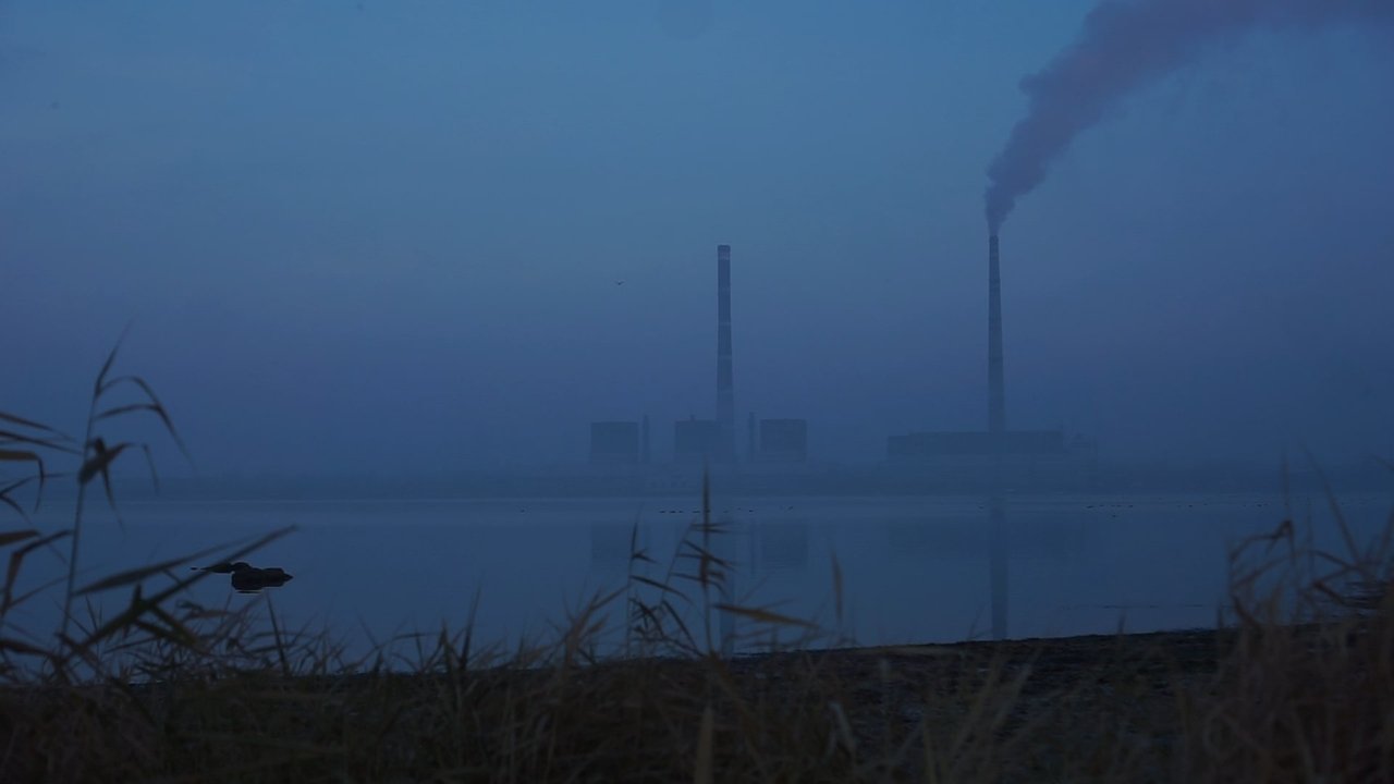 Backdrop image for movie Gray Zone