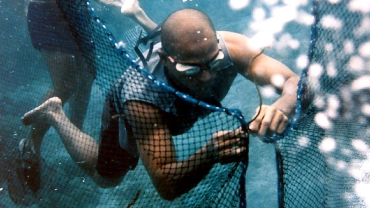 Backdrop image for movie Reef Hunters