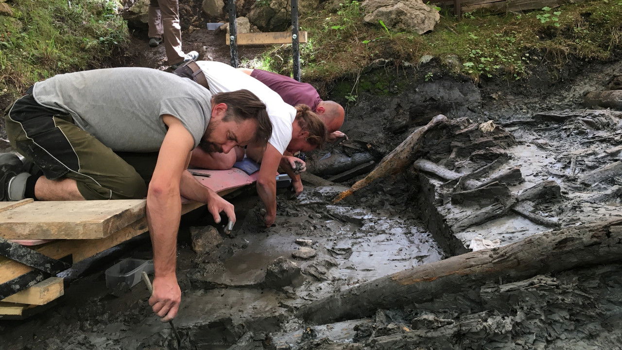 Backdrop image for movie Mystery of the Celtic Tomb