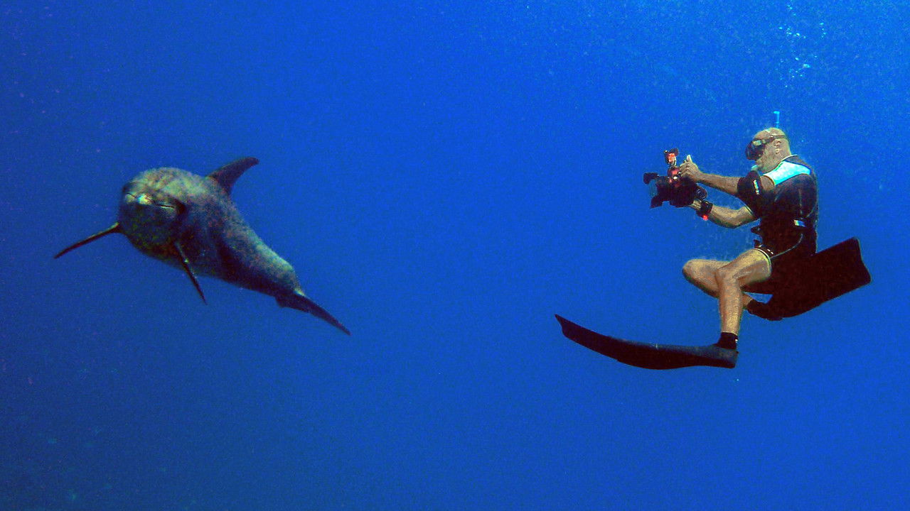 Backdrop image for movie Homme et Dauphin : Mode d’emploi