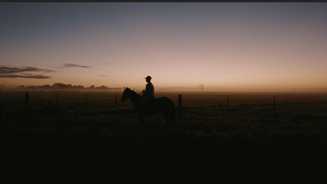 Backdrop image for movie Resolve in Venezuela