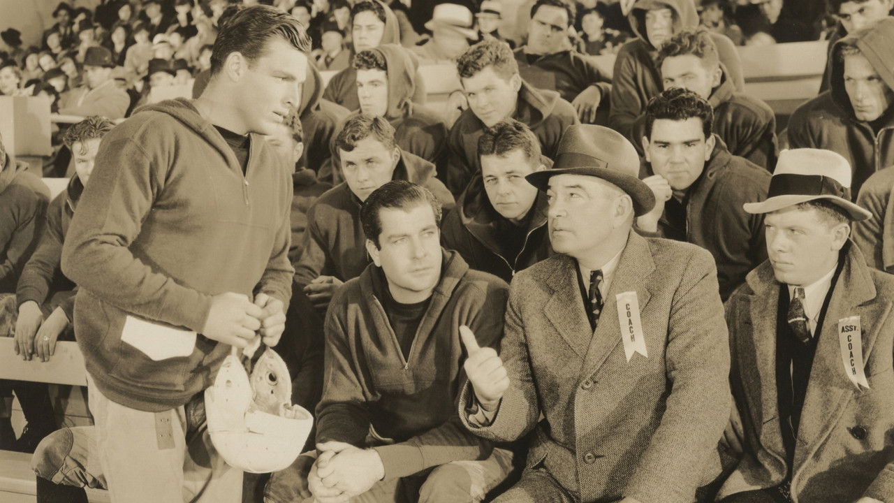 Backdrop image for movie Hold 'Em Yale