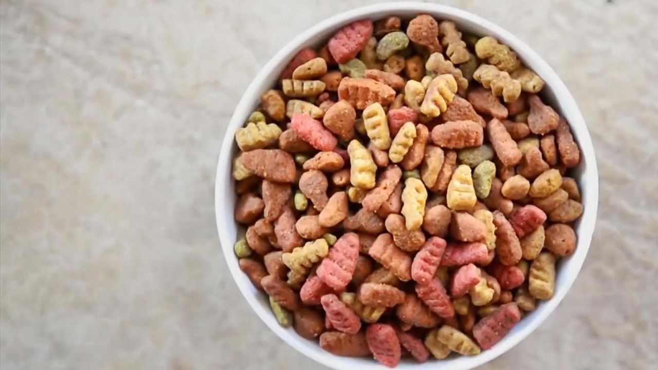 Backdrop image for movie Pet Fooled