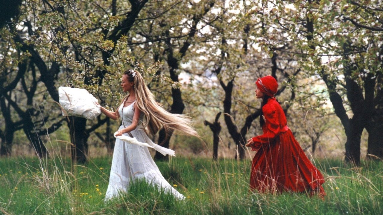 Backdrop image for movie Wild Flowers