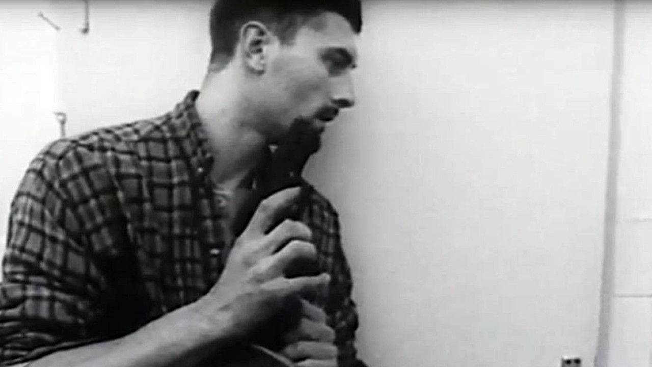 Backdrop image for movie Mondo Bobo