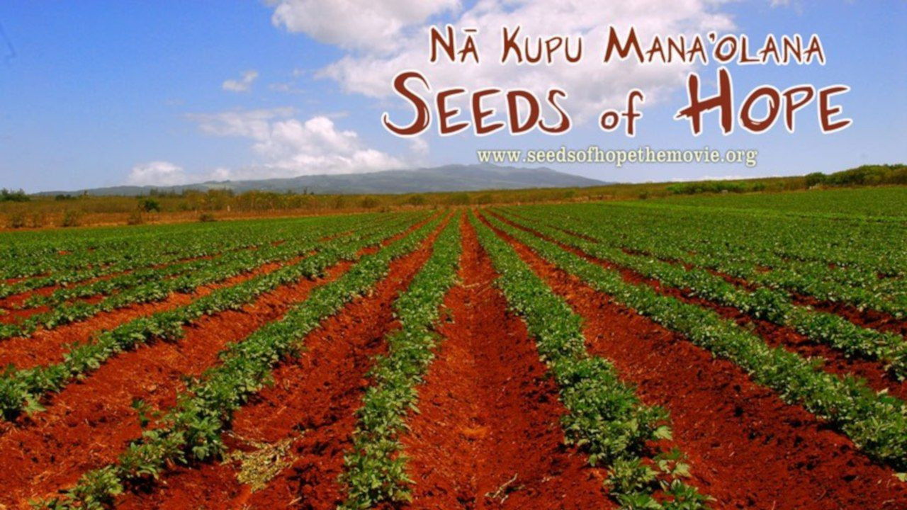 Backdrop image for movie Seeds of Hope