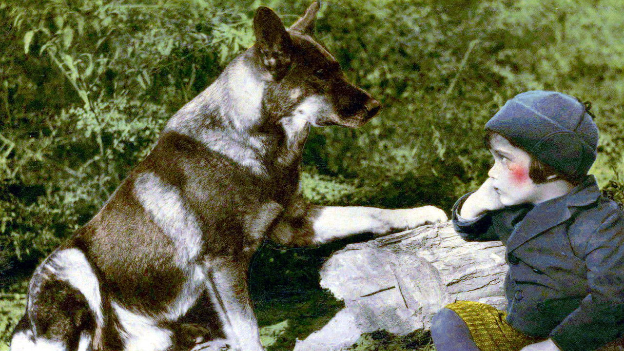 Backdrop image for movie Frozen River