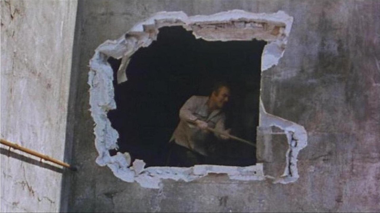 Backdrop image for movie Themroc