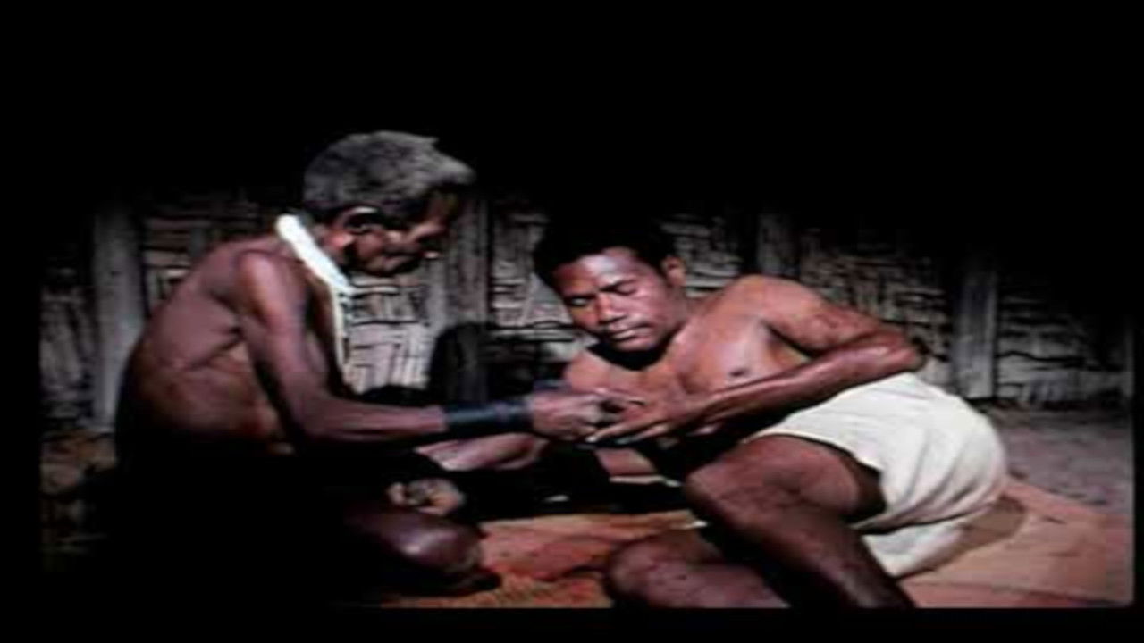 Backdrop image for movie Tonten's Journey