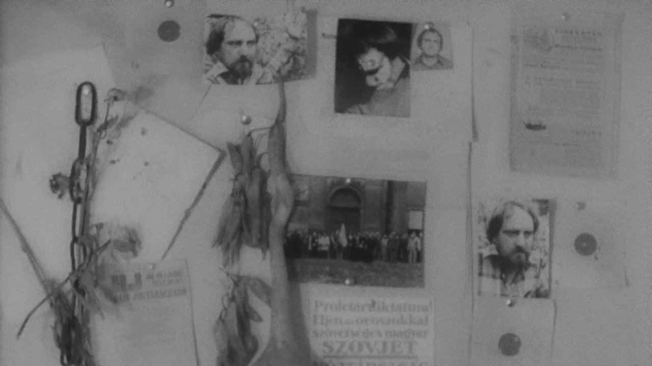 Backdrop image for movie In memoriam Hajnóczy Péter