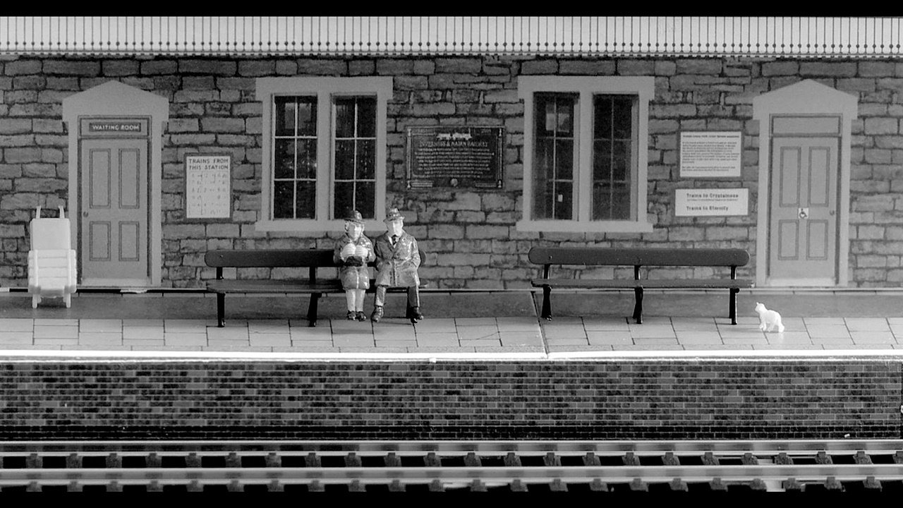 Backdrop image for movie Coombs