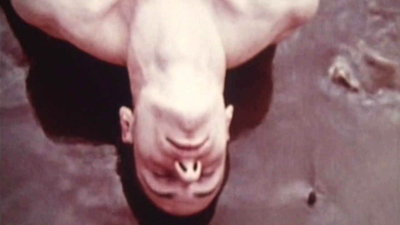 Backdrop image for movie Lysis