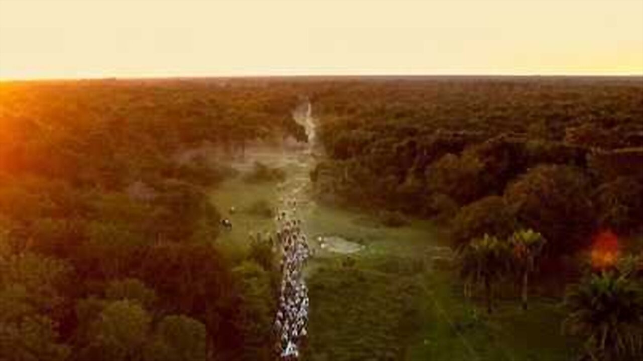 Backdrop image for movie Pantanal: The Good Innocence of Our Origins