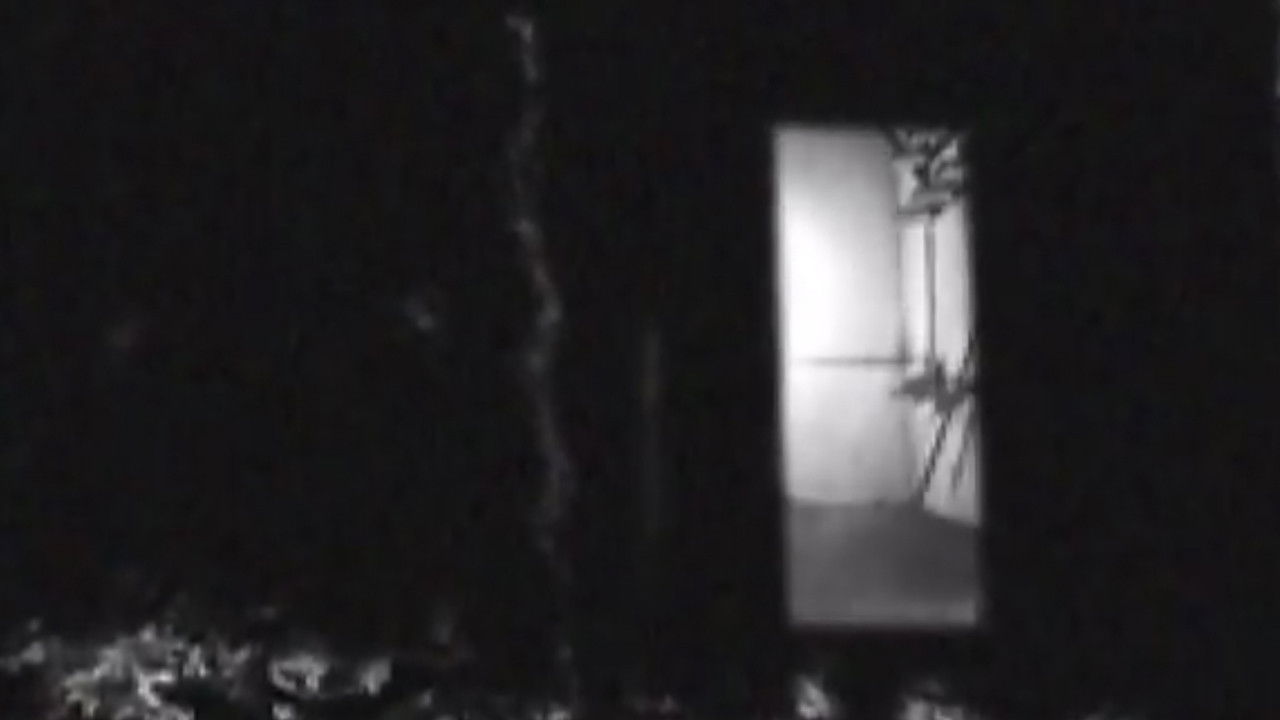 Backdrop image for movie Bug Crawls