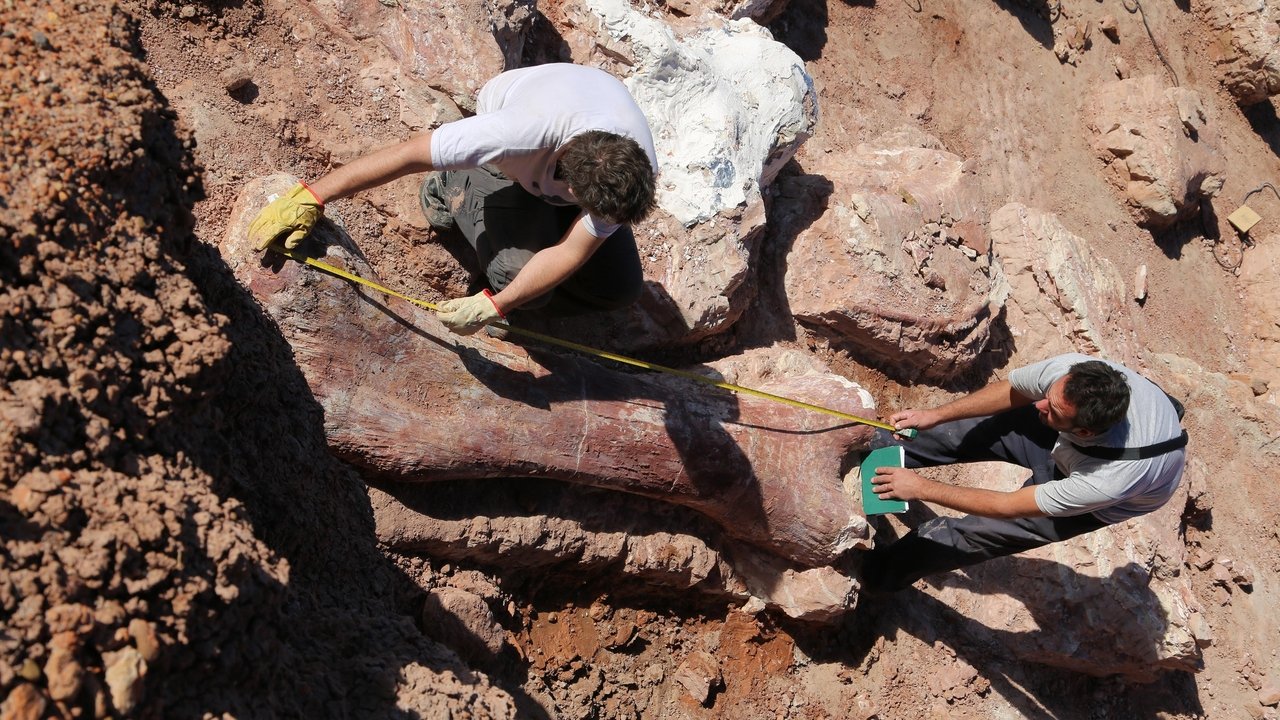 Backdrop image for movie Attenborough and the Giant Dinosaur