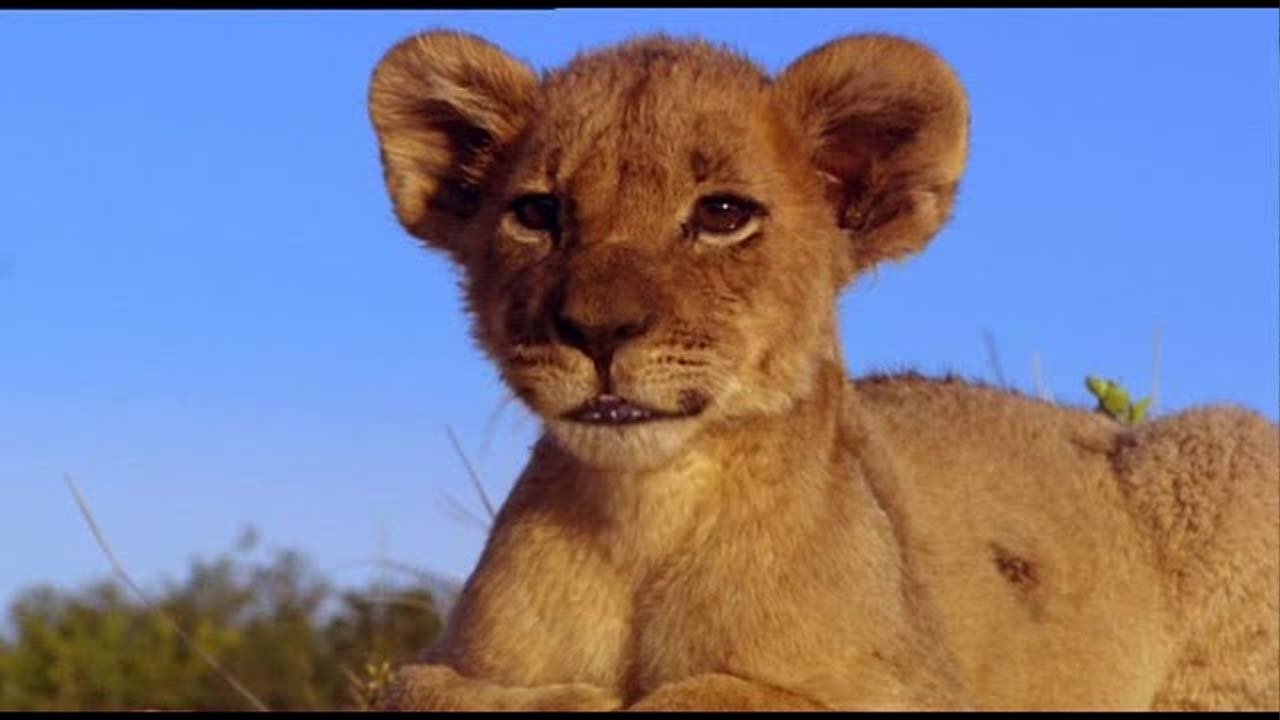Backdrop image for movie Pride