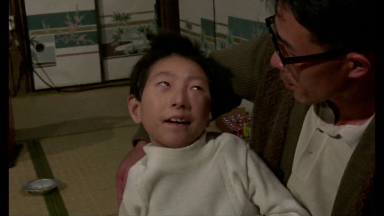 Backdrop image for movie This Wonderful Dirty World