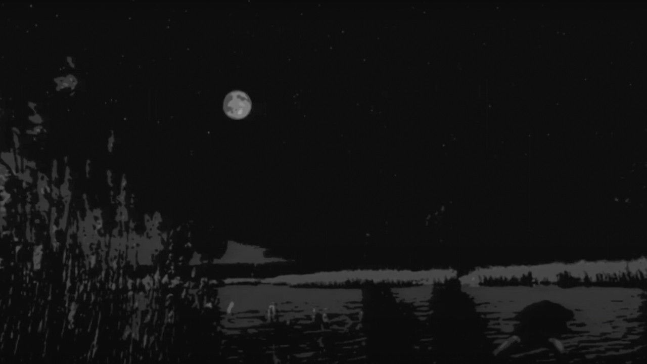 Backdrop image for movie Weird Fishes