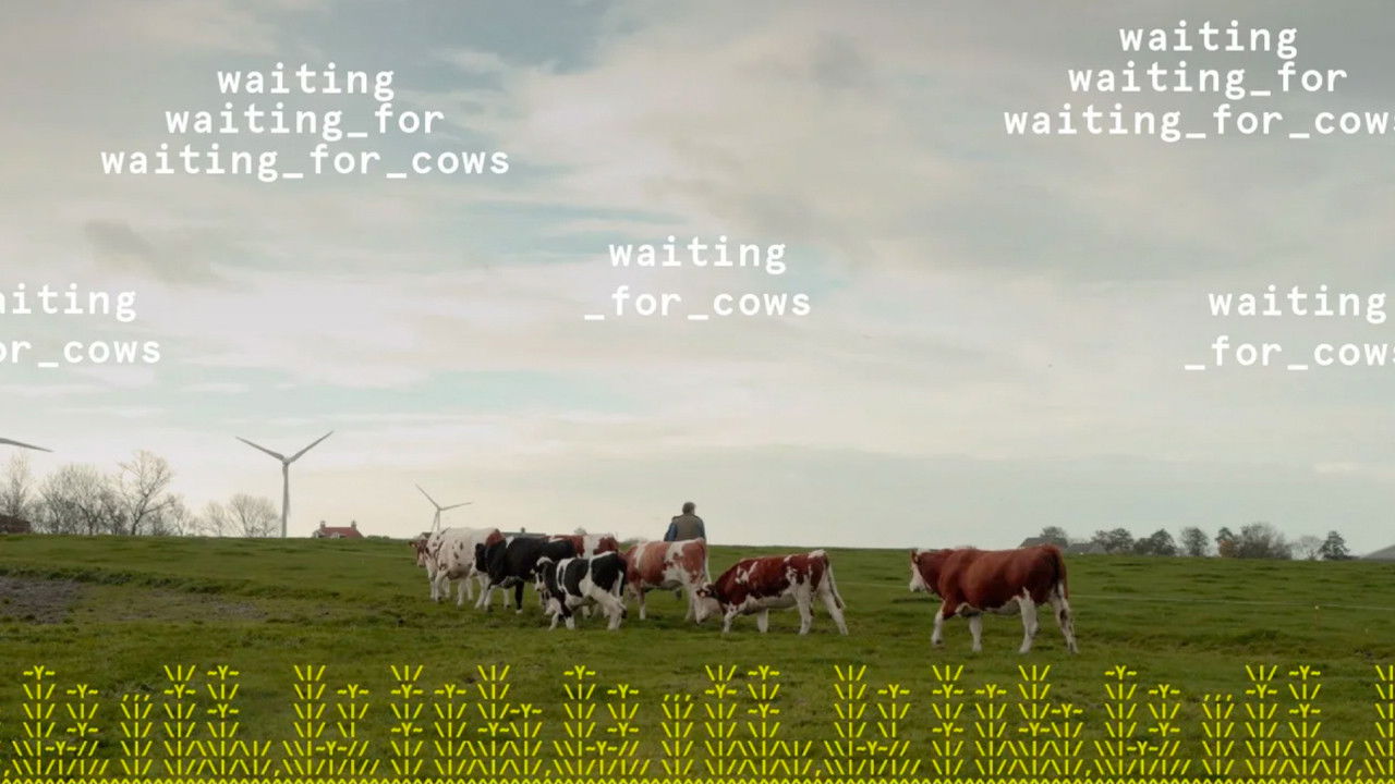 Backdrop image for movie waiting_for_cows