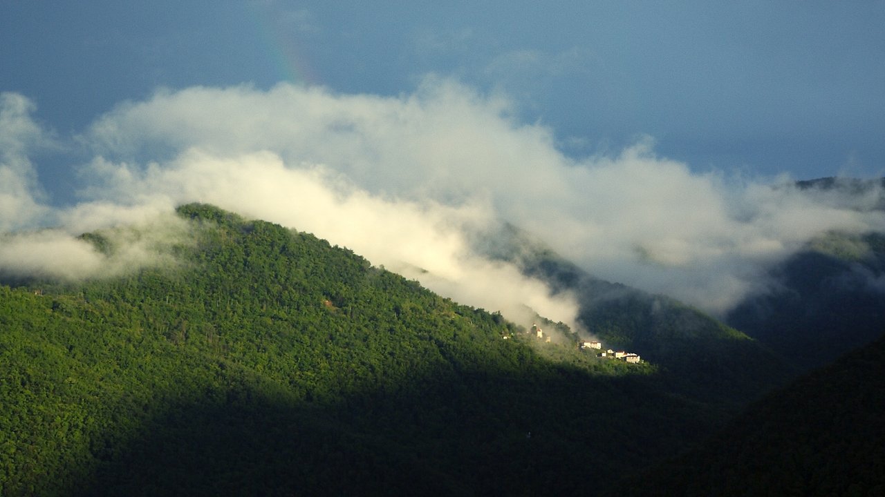 Backdrop image for movie ciao Aracà