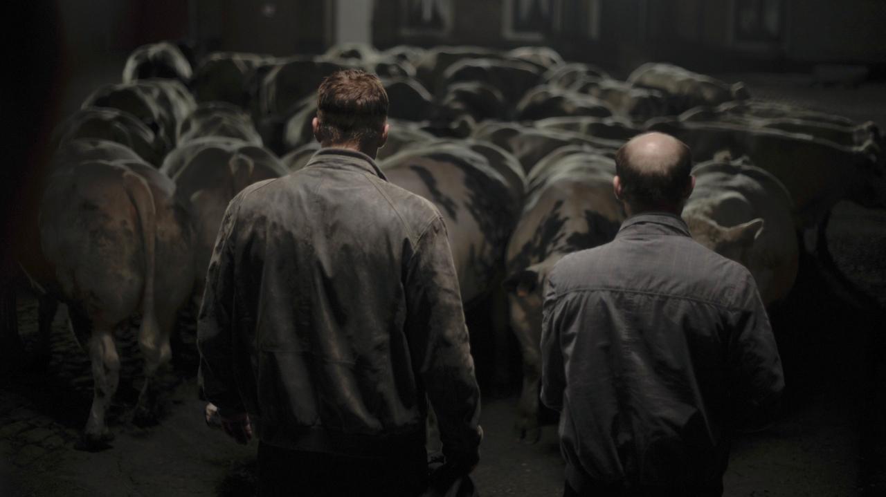 Backdrop image for movie Bullhead