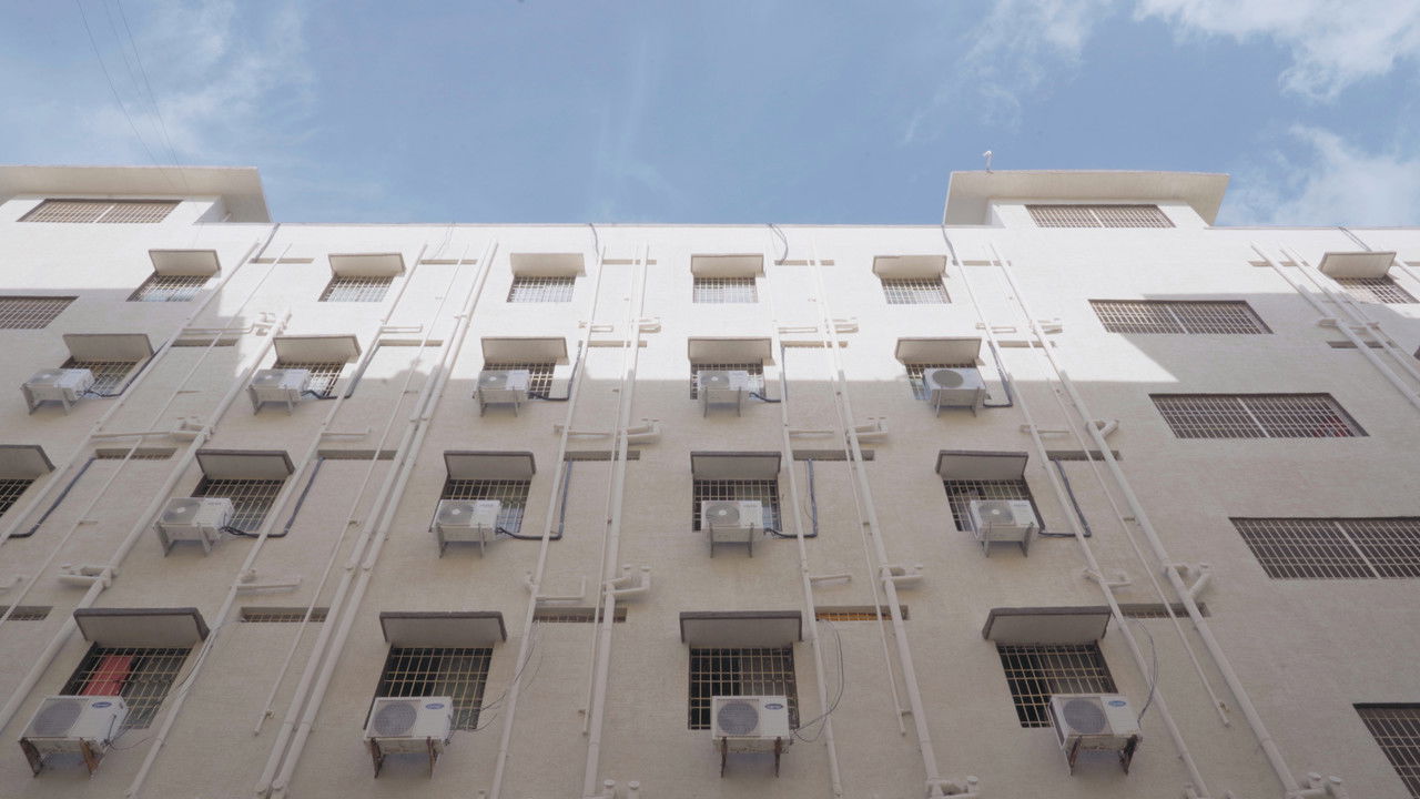 Backdrop image for movie Study