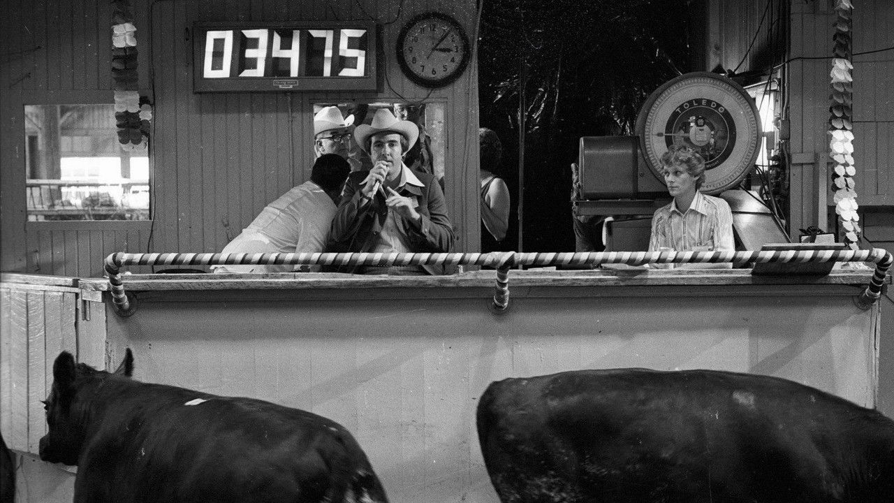 Backdrop image for movie How Much Wood Would a Woodchuck Chuck