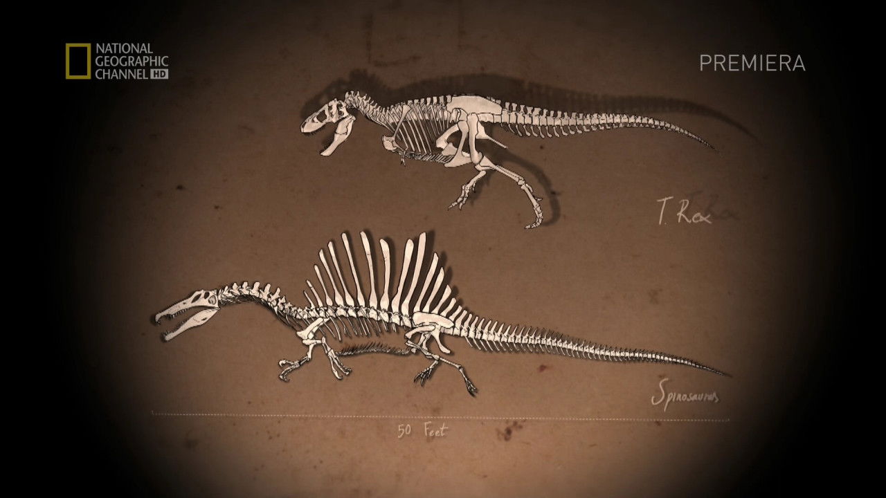 Backdrop image for movie Bigger Than T.Rex