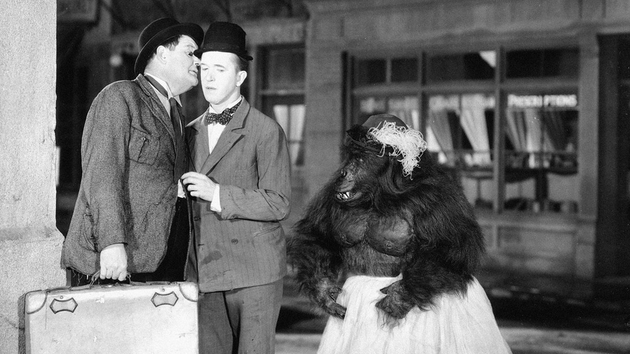 Backdrop image for movie The Chimp