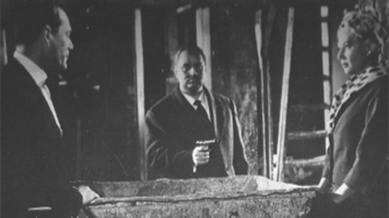 Backdrop image for movie Incognito