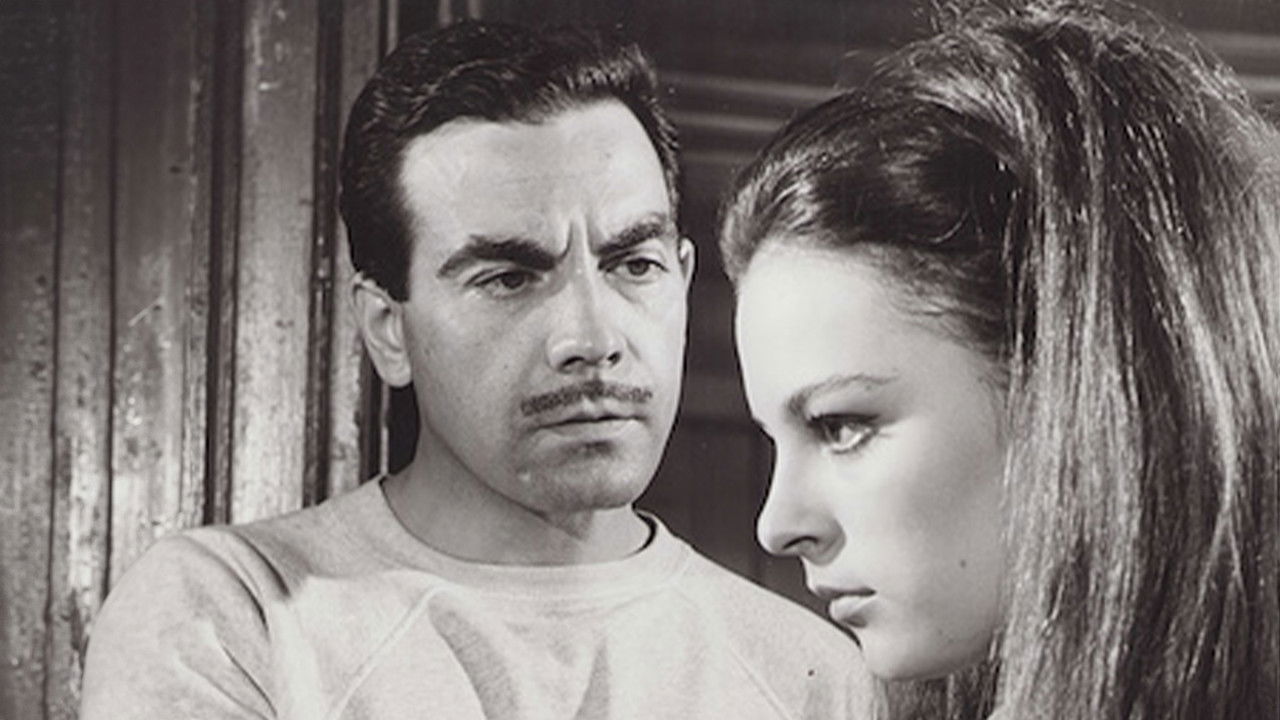 Backdrop image for movie Kumarbazın İntikamı