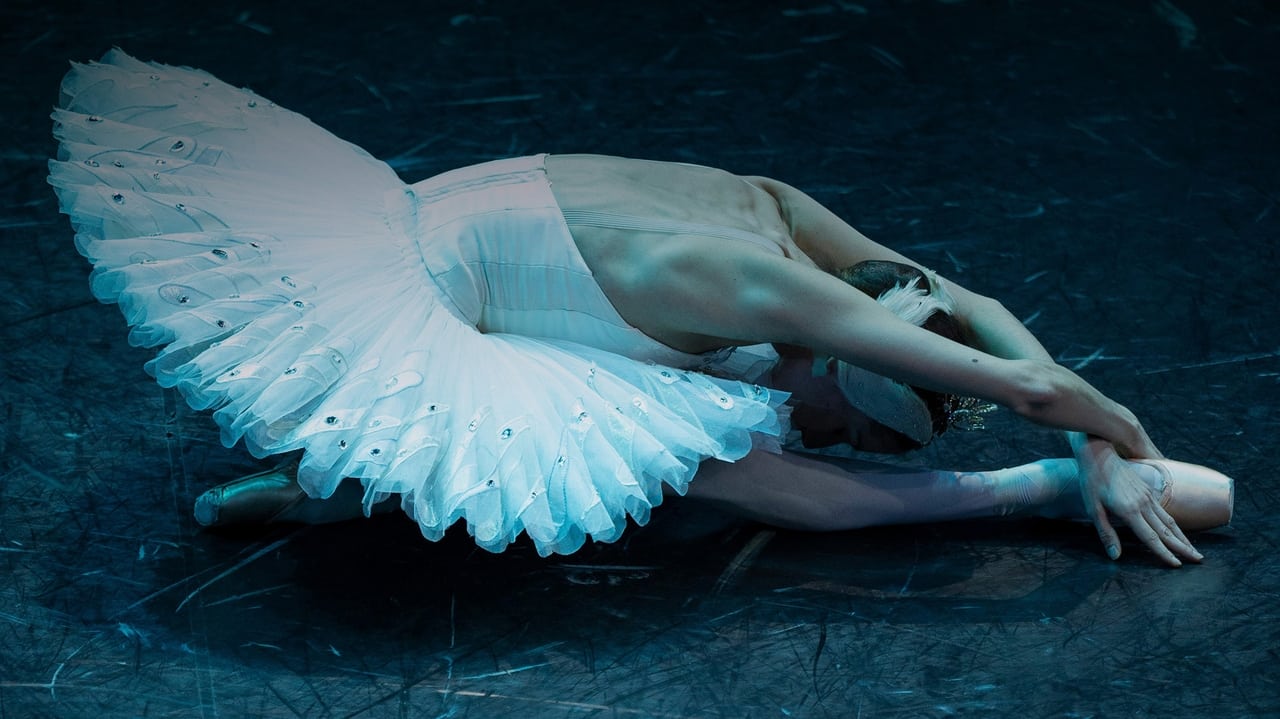 Backdrop image for movie Swan Lake - Filmed for IMAX