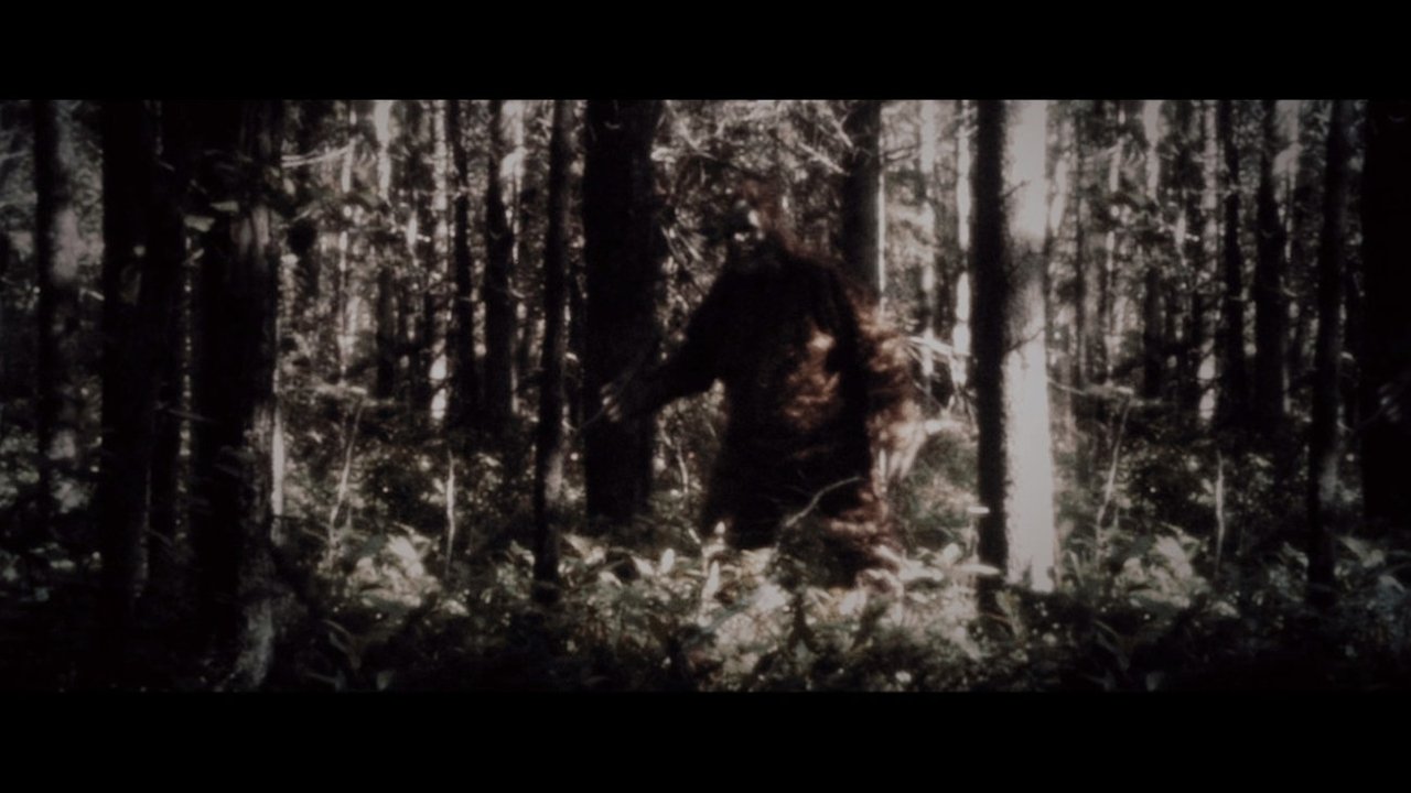 Backdrop image for movie Secrets of the Sasquatch