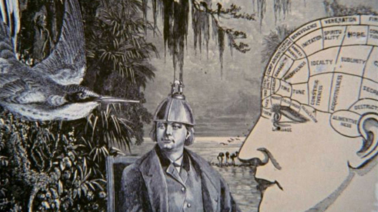 Backdrop image for movie Night Light