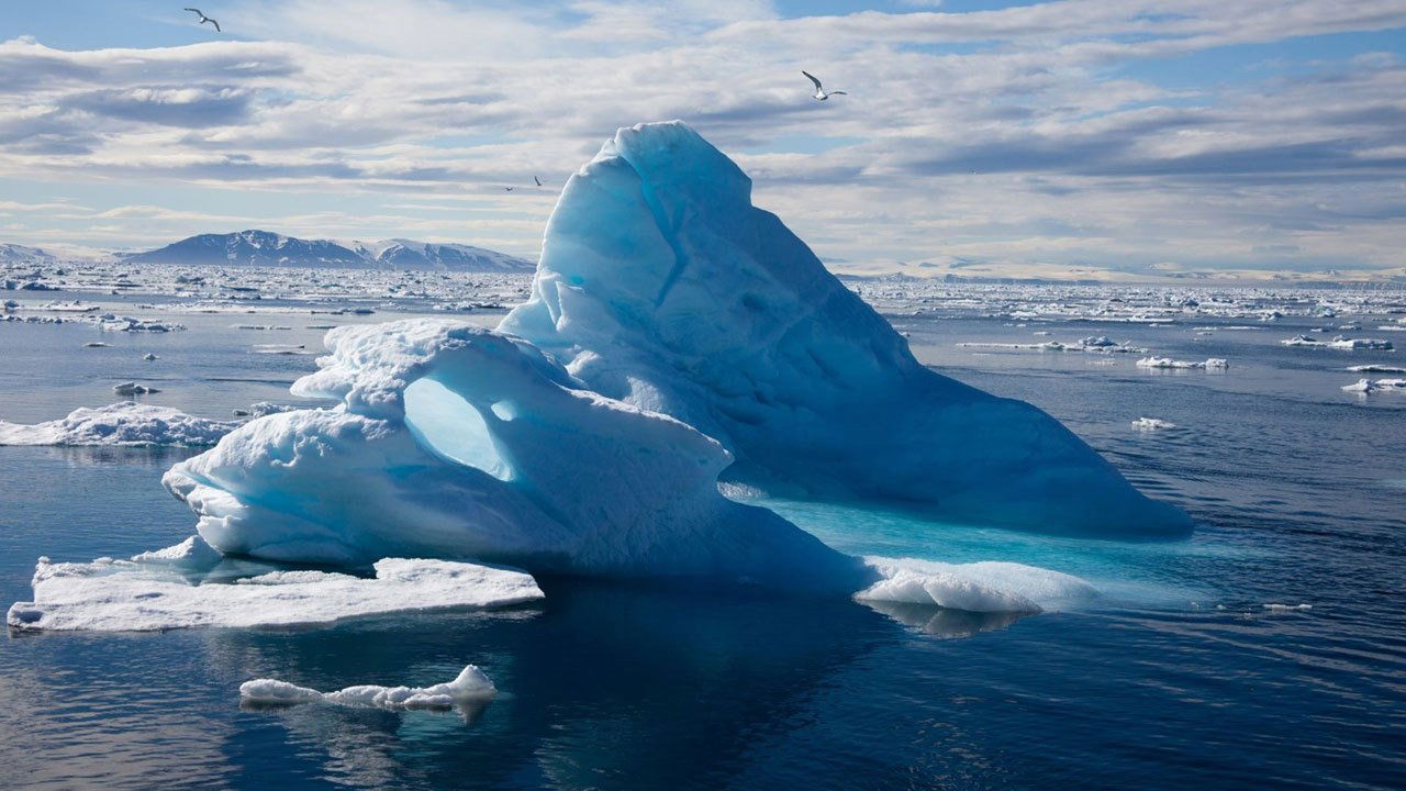 Backdrop image for movie To the Arctic 3D