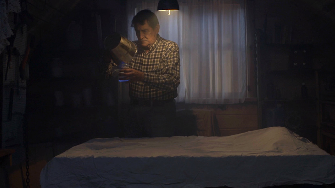 Backdrop image for movie The Garden