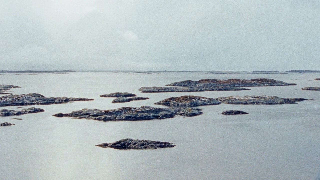 Backdrop image for movie An Experiment in Leisure