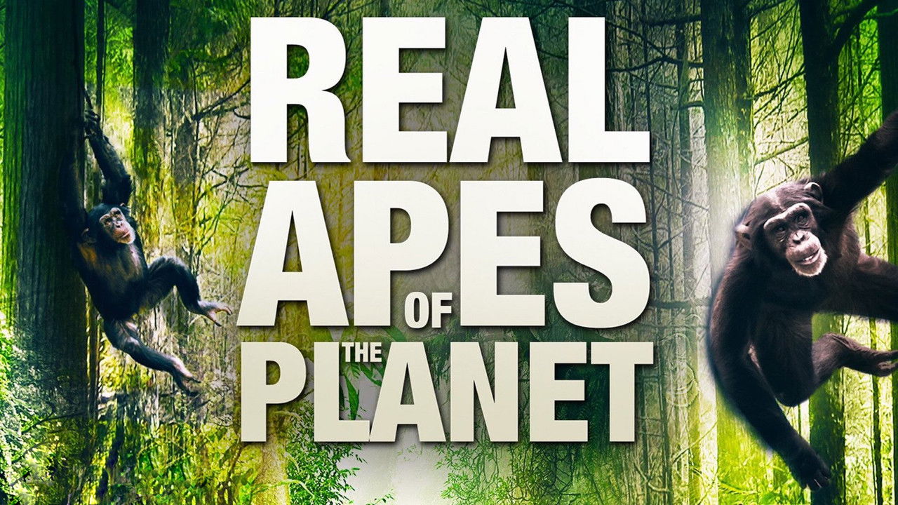 Backdrop image for movie The Real Apes of the Planet