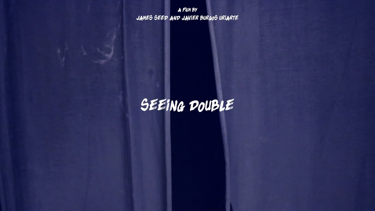 Backdrop image for movie Seeing Double
