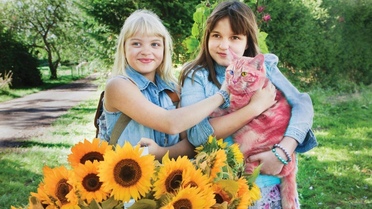 Backdrop image for movie Jill, Joy and the Mysterious Stranger