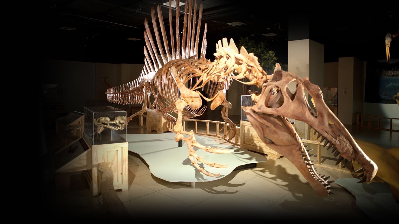 Backdrop image for movie Top 10 Biggest Beasts Ever