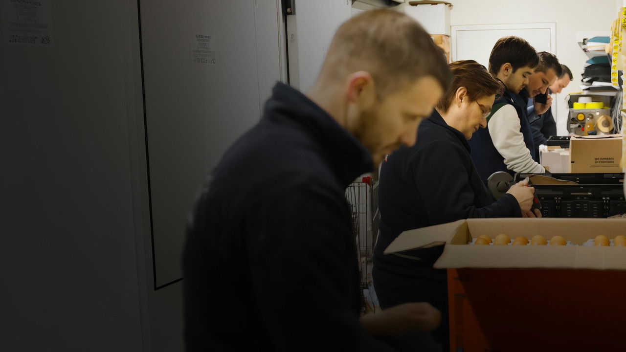 Backdrop image for movie Discount, le prix à payer