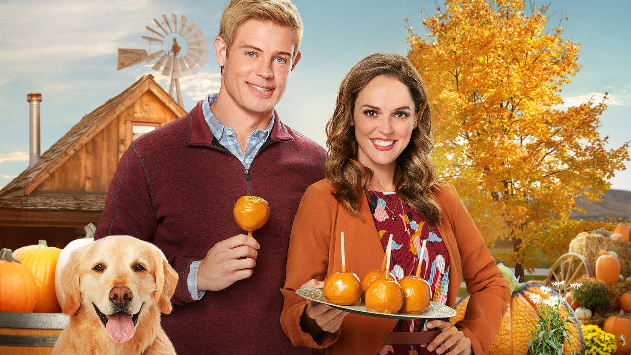 Backdrop image for movie Love, Fall & Order