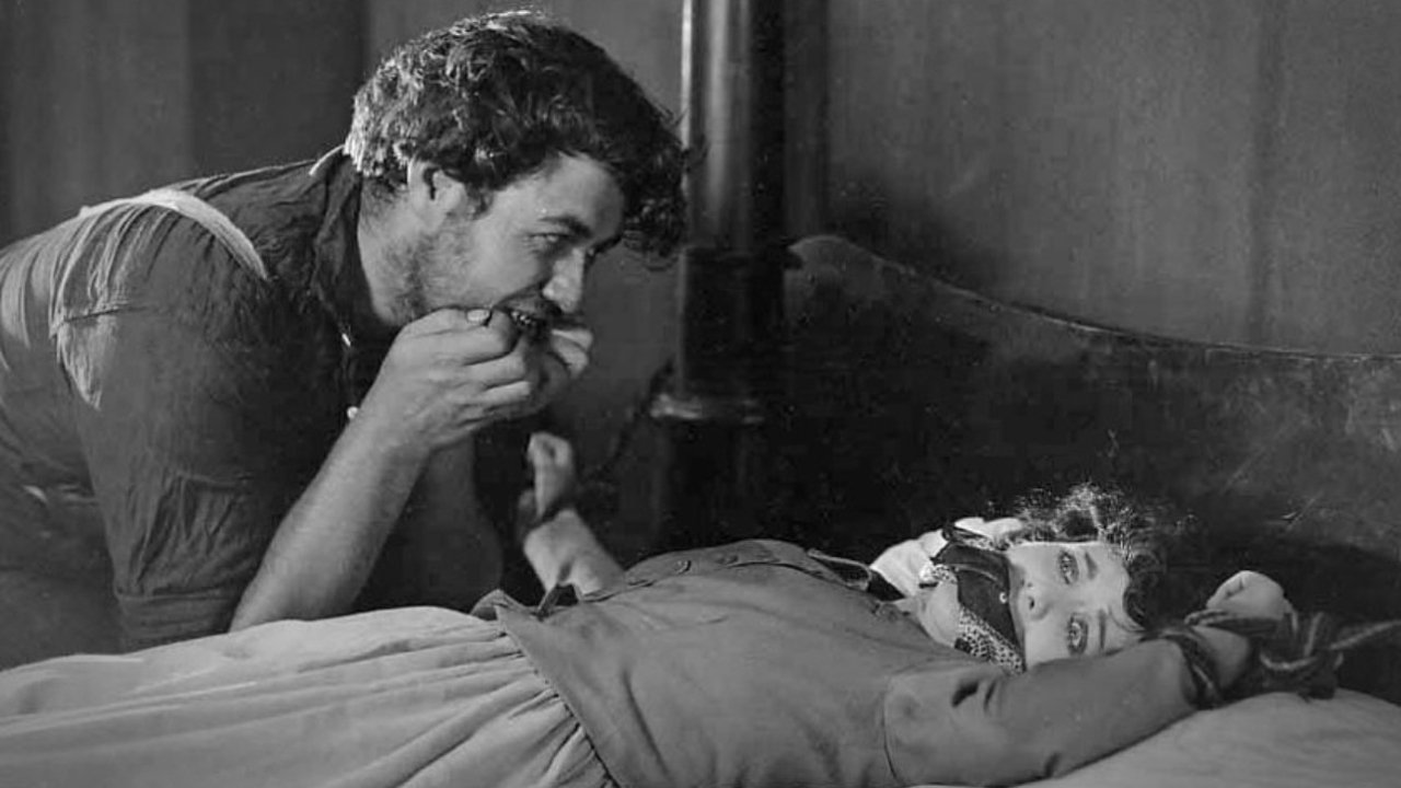 Backdrop image for movie Wild Oranges