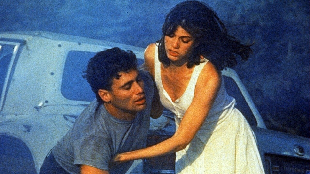 Backdrop image for movie Wildfire