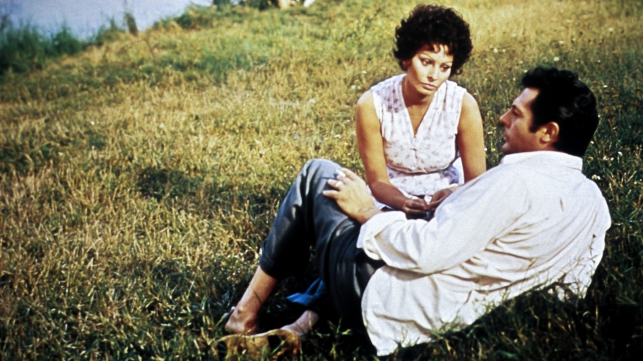 Backdrop image for movie Sunflower