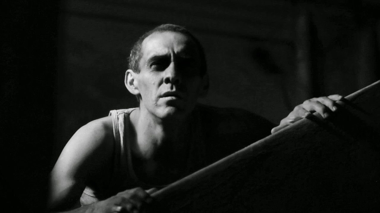 Backdrop image for movie Sed