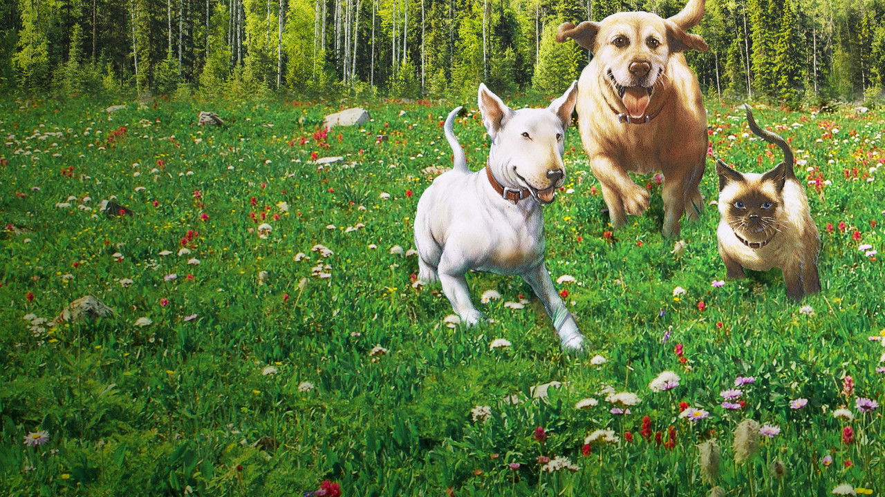 Backdrop image for movie The Incredible Journey