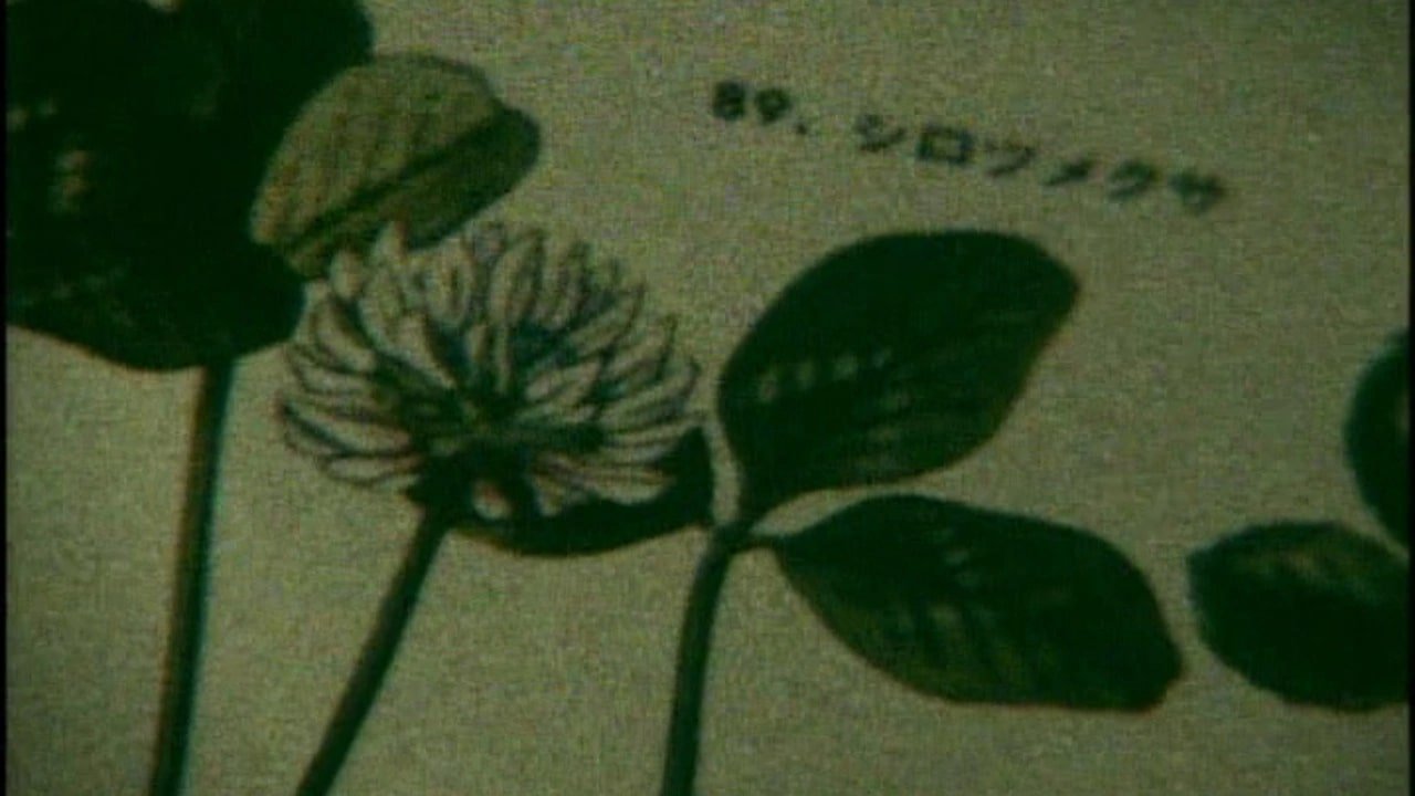 Backdrop image for movie Life Can Be So Wonderful