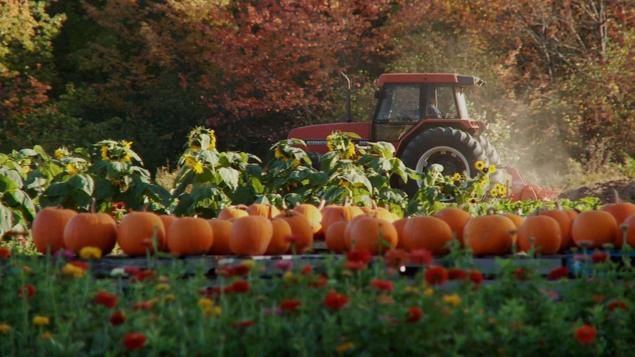 Backdrop image for movie Farmageddon